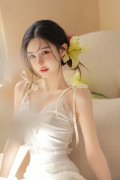 所涉移送