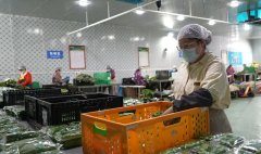 <b>为健康中国扶植注入强劲动</b>